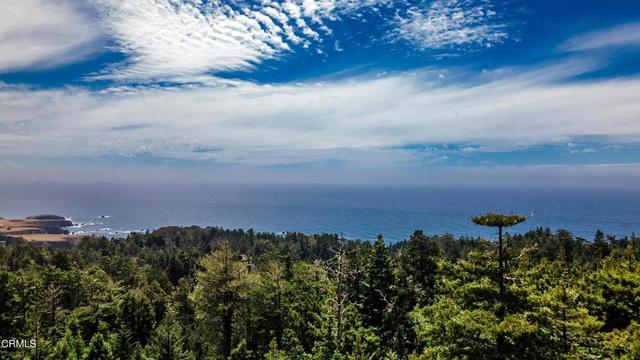 33651 Carson Hill Rd, Little River, CA 95456