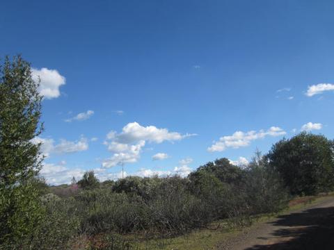 0 Sky Ct, Chico, CA 95928 photo 6