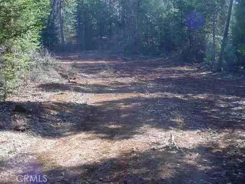 Undisclosed, Forest Ranch, CA 95942 photo 1