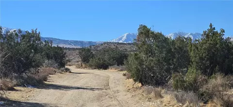 5 Avenue Y6, Llano, CA 93544 photo 4
