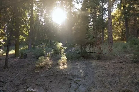 20 Burnt Mill Canyon Rd, Cedarpines Park, CA 92322