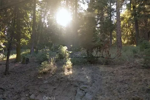 20 Burnt Mill Canyon Rd, Cedarpines Park, CA 92322