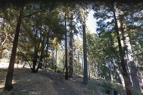 59 Mojave River Rd, Cedarpines Park, CA 92322