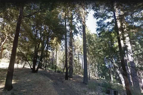 59 Mojave River Rd, Cedarpines Park, CA 92322