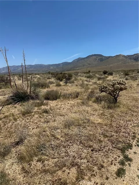 0 Draco Rd, Lucerne Valley, CA 92356 photo 8