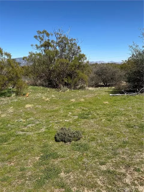44805 Chapman Rd, Anza, CA 92539