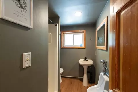 Bath - 41505 Alder Dr, Forest Falls, CA 92339 photo 2 of 4