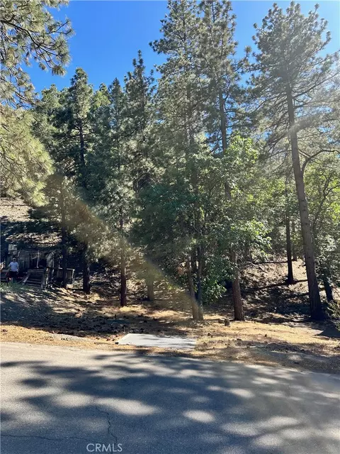 0 Heath Creek Dr, Wrightwood, CA 92397 photo 5