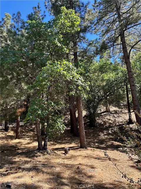 0 Heath Creek Dr, Wrightwood, CA 92397 photo 13