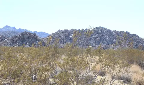 66250 Sullivan Rd, Joshua Tree, CA 92252