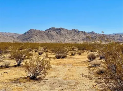 0 Dennis Ave, Joshua Tree, CA 92252 photo 2