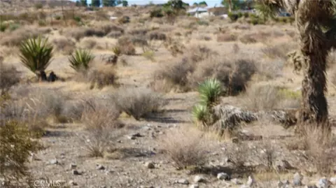 0 Juniper, Apple Valley, CA 92308 photo 9