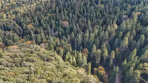 0 Deer Run Rd, Cedarpines Park, CA 92322 photo 2