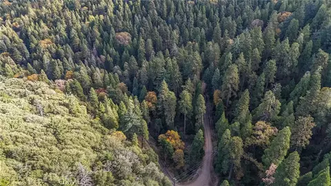 0 Deer Run Rd, Cedarpines Park, CA 92322 photo 6