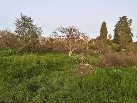400 Walnut Ave, Redlands, CA 92373 photo 3