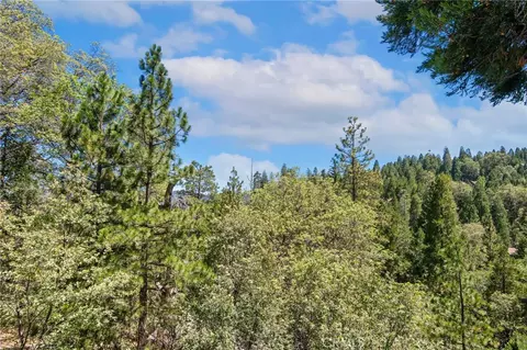 Other - 27403 Alpen Dr, Lake Arrowhead, CA 92352 photo 3 of 6