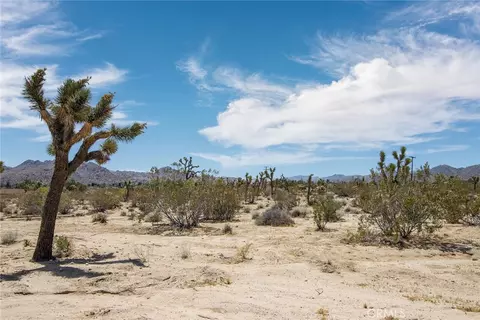 6563 Saddleback Rd, Joshua Tree, CA 92252