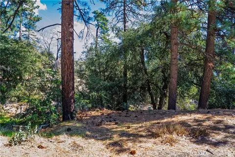 1 Mountain View Dr, Idyllwild, CA 92549 photo 11