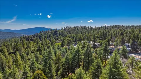 1 Mountain View Dr, Idyllwild, CA 92549 photo 46