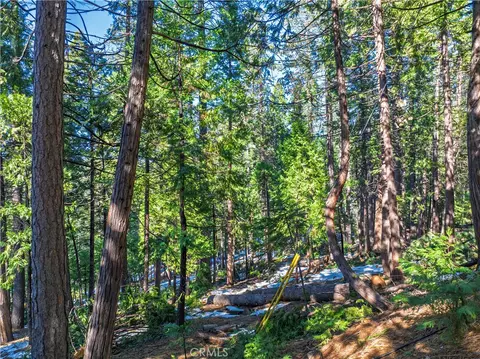 1803 Evergreen, Arnold, CA 95223 photo 32