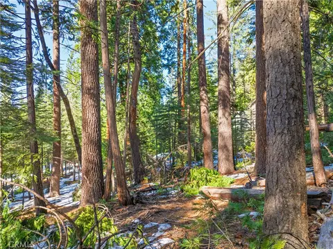 1803 Evergreen, Arnold, CA 95223 photo 44