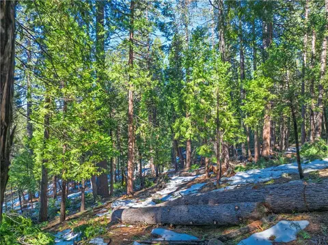 1803 Evergreen, Arnold, CA 95223 photo 35