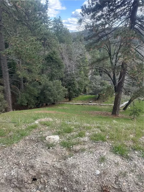 0 Fern Cyn, Cedarpines Park, CA 92322