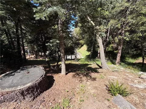 Exterior - 1076 Calanda, Crestline, CA 92325 photo 31 of 36
