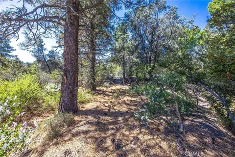 Exterior - 2164 Outer Hwy 2 Hwy S, Wrightwood, CA 92397 photo 6 of 14