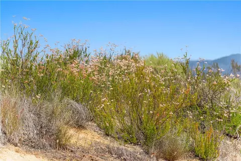 1 Gray Squirrel Rd, Temecula, CA 92592 photo 72