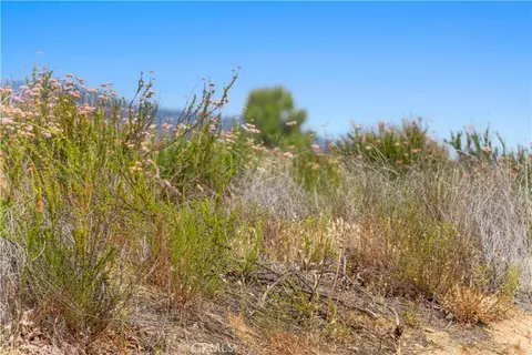1 Gray Squirrel Rd, Temecula, CA 92592 photo 71
