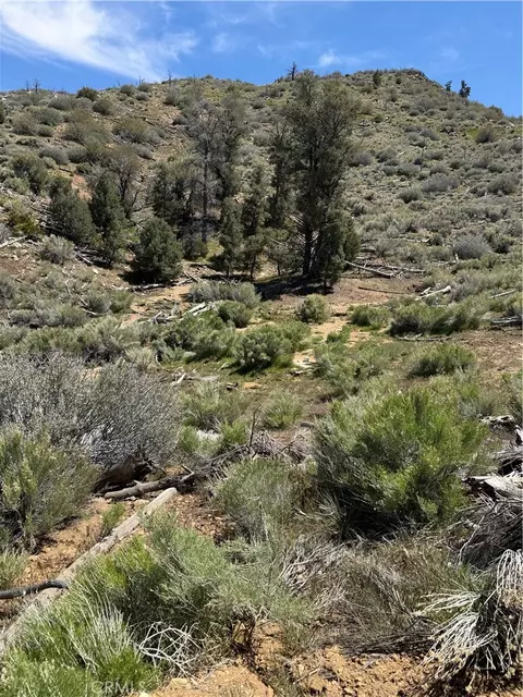 0 310-040-017 Pine Creek Valley Rd, Kennedy Meadows, CA 93527