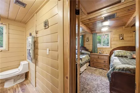 Entry Way - 9160 Coffey, Forest Falls, CA 92339 photo 2 of 2