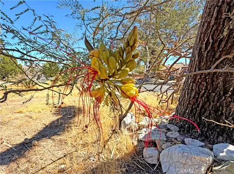 Exterior - 7426 Elata, Yucca Valley, CA 92284 photo 6 of 7