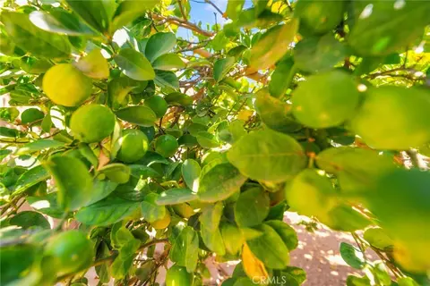 Other - 4263 Baggett, Riverside, CA 92505 photo 12 of 12