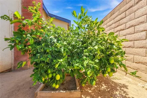 Exterior - 4263 Baggett, Riverside, CA 92505 photo 11 of 13