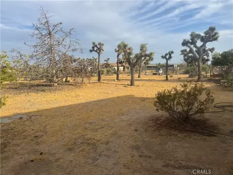 Exterior - 3601 Balsa, Yucca Valley, CA 92284 photo 5 of 12