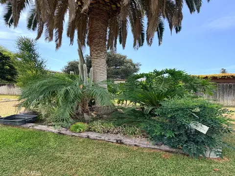 Exterior - 4574 Central Ave, Riverside, CA 92506 photo 12 of 19