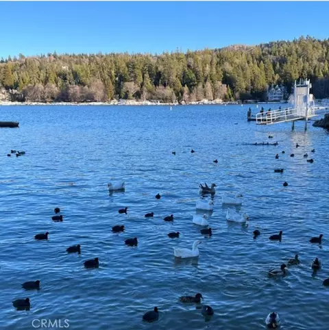 View/Area - 1228 Acadia, Lake Arrowhead, CA 92352 photo 3 of 3