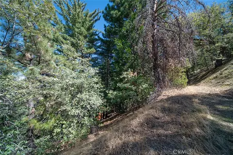 0 Evergreen, Lake Arrowhead, CA 92352 photo 8