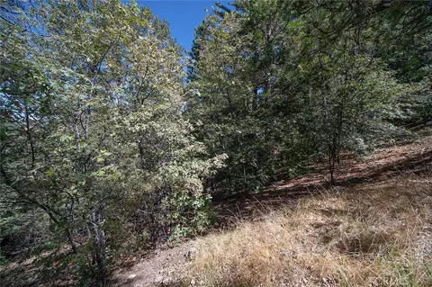 0 Evergreen, Lake Arrowhead, CA 92352 photo 9