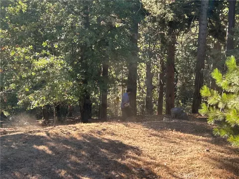 2335 Deep Crk, Running Springs, CA 92382