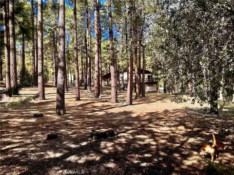 Exterior - 5809 Pine St, Wrightwood, CA 92397 photo 13 of 23
