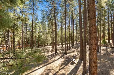 Exterior - 5809 Pine St, Wrightwood, CA 92397 photo 15 of 23