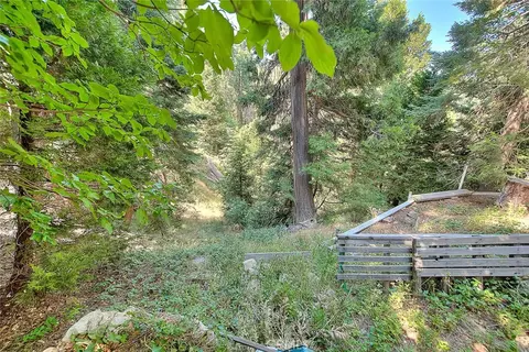 Exterior - 680 Buckingham, Skyforest, CA 92385 photo 23 of 24