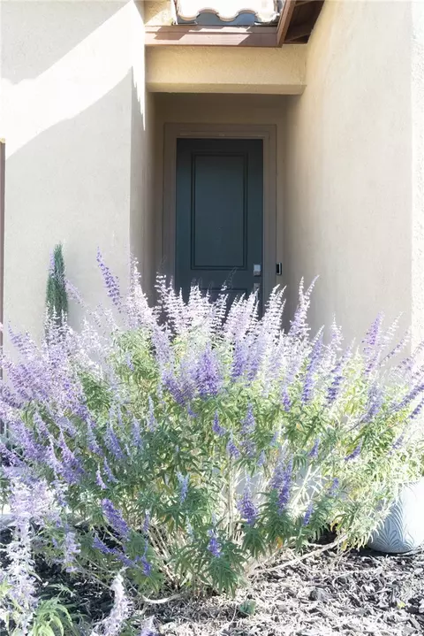 Entry Way - 5123 Eureka Ave, Banning, CA 92220 photo 1 of 4