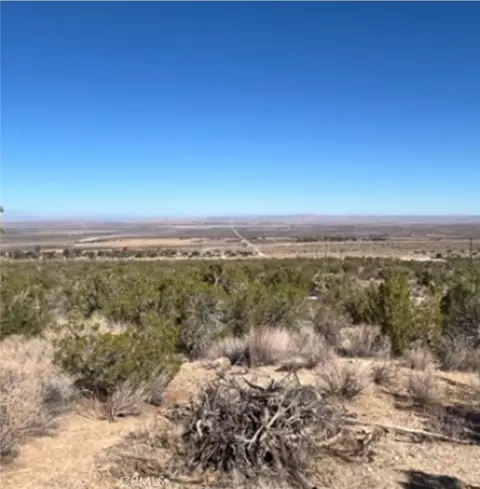 0 Y8vic Vac Ave, Llano, CA 93544