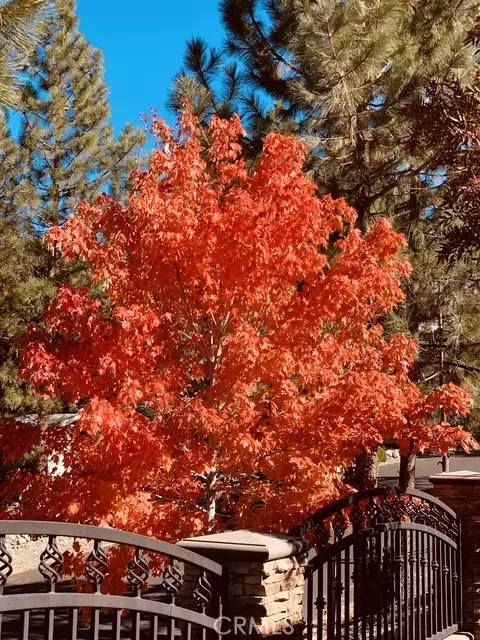 Other - 5319 Desert Vw, Wrightwood, CA 92397 photo 17 of 20