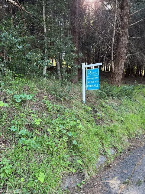 767 Spring Rd, Shelter Cove, CA 95589