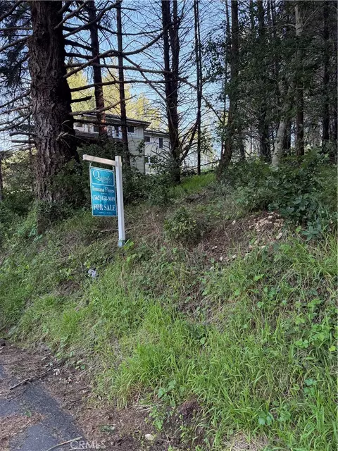 767 Spring Rd, Shelter Cove, CA 95589 photo 6